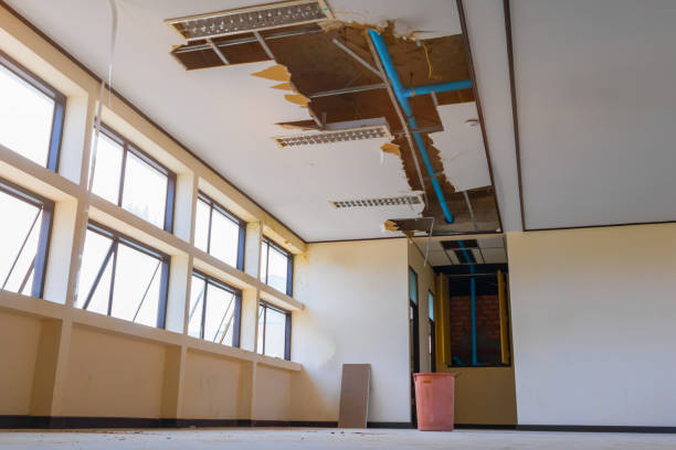 Best Water damage cleanup near me  in Grafton, OH