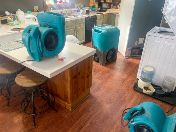 Best Professional water damage repair  in Grafton, OH