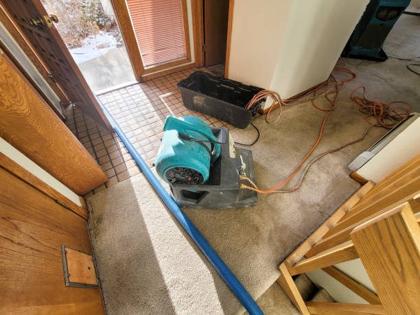 Best Water damage restoration near me  in Grafton, OH