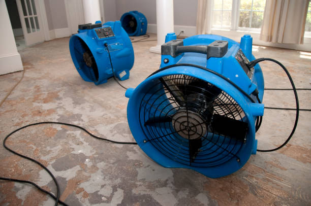 Best Water damage restoration near me  in Grafton, OH