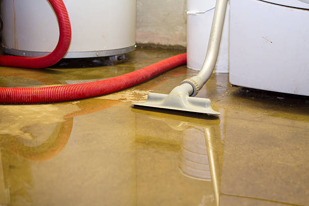 Carpet water damage restoration in OH