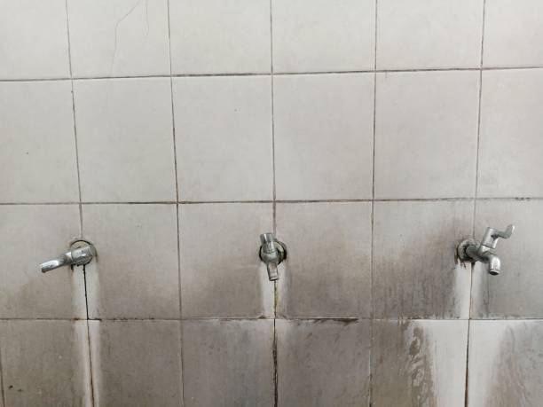 Best Sewage cleanup and water damage restoration  in Grafton, OH