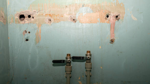 Best Residential water damage restoration  in Grafton, OH