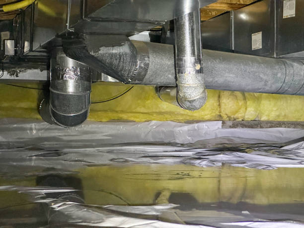 Best Basement water damage restoration  in Grafton, OH