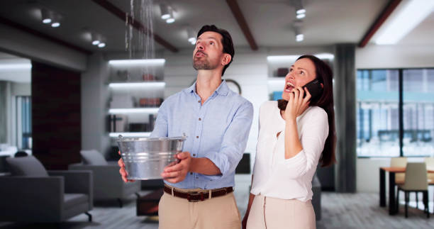 Best Residential water damage restoration  in Grafton, OH