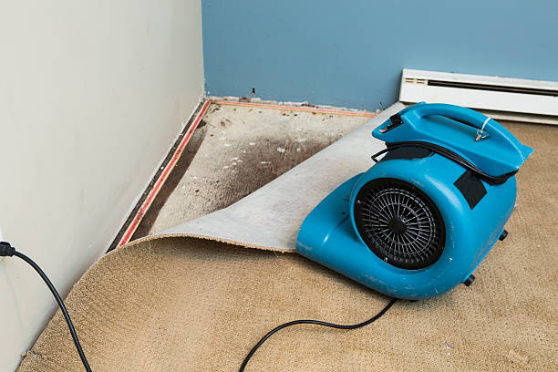 Best Water damage restoration experts  in Grafton, OH
